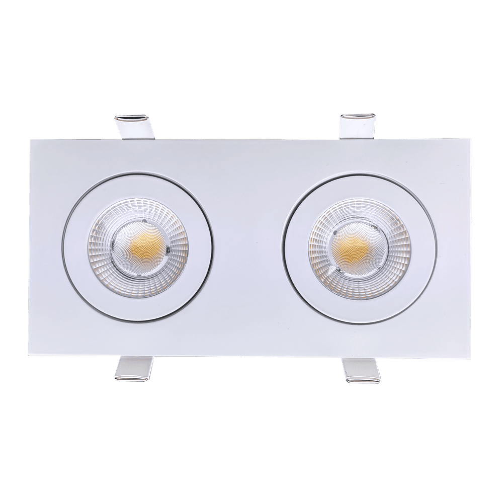 GDL - G01022Goodlite Flarion G - 01022 3.5" 20W LED 2 Head Rotating Gimbal Selectable CCT