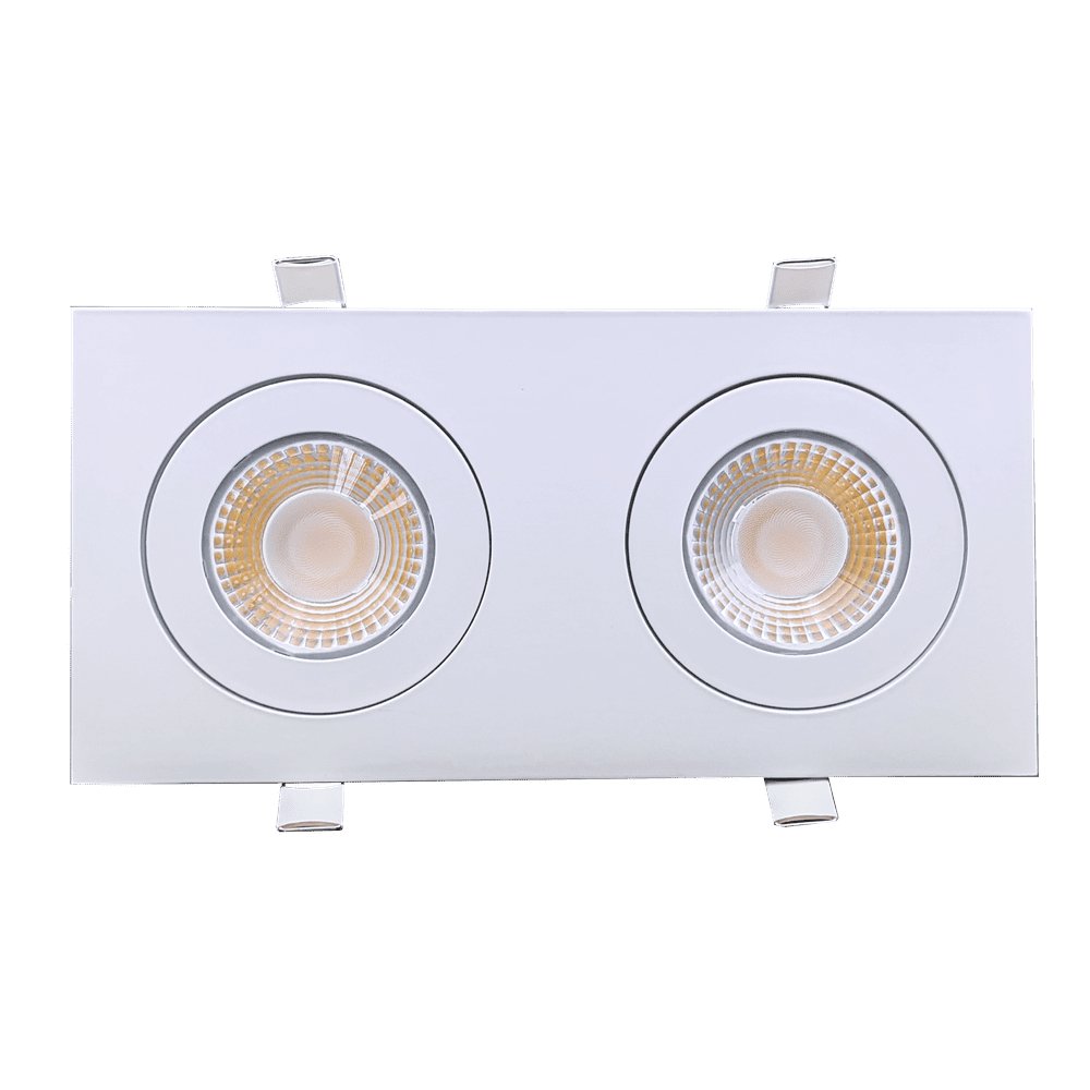 GDL-G01222Goodlite Flarion G-01222 4" 26W LED 2 Head Rotating Gimbal Selectable CCT