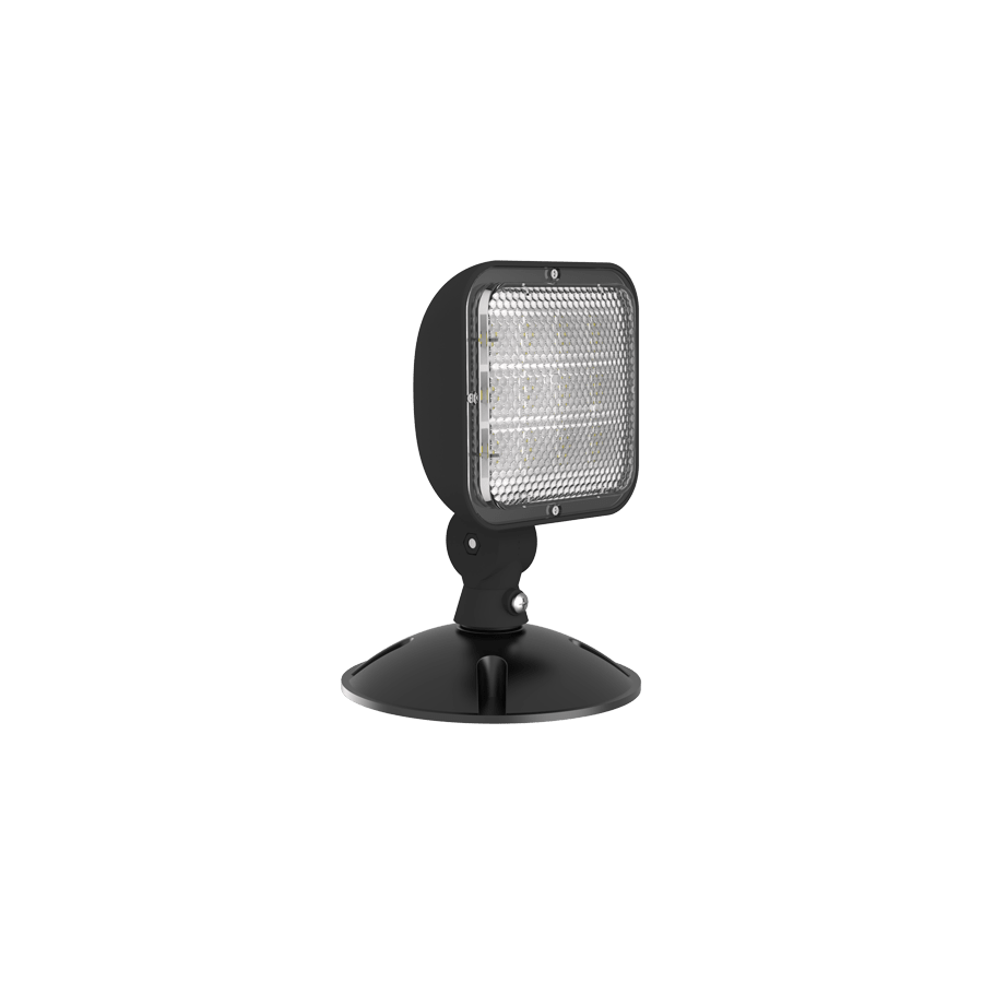 RAB-EREMOTEOUT-WRAB EREMOTEOUT Wet Location LED Remote Emergency Heads