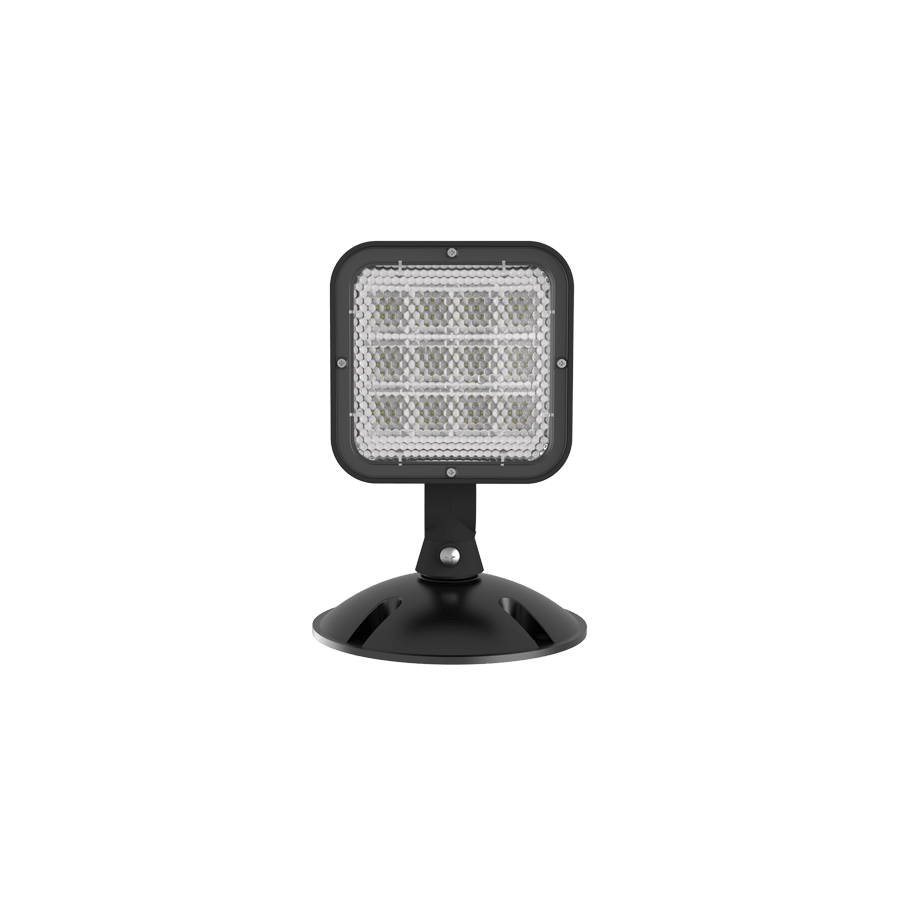 RAB-EREMOTEOUT-1BRAB EREMOTEOUT Wet Location LED Remote Emergency Heads