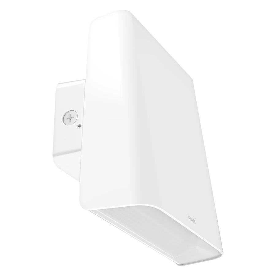 RAB - WPLEDLWRAB WPLEDL 113W Outdoor Wall Pack Selectable Wattage & CCT With Photocell