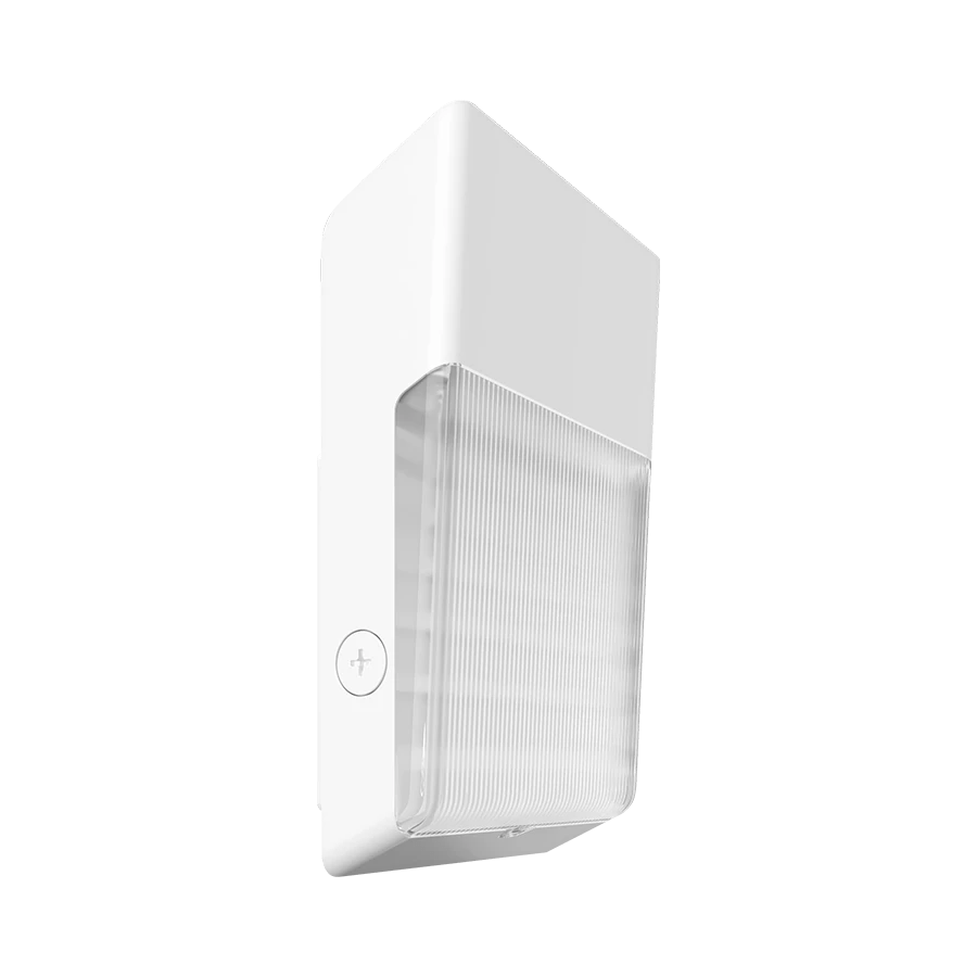 RAB - WPTWRAB WPT 40W Tall Wallpack Selectable Wattage + CCT + Photocell