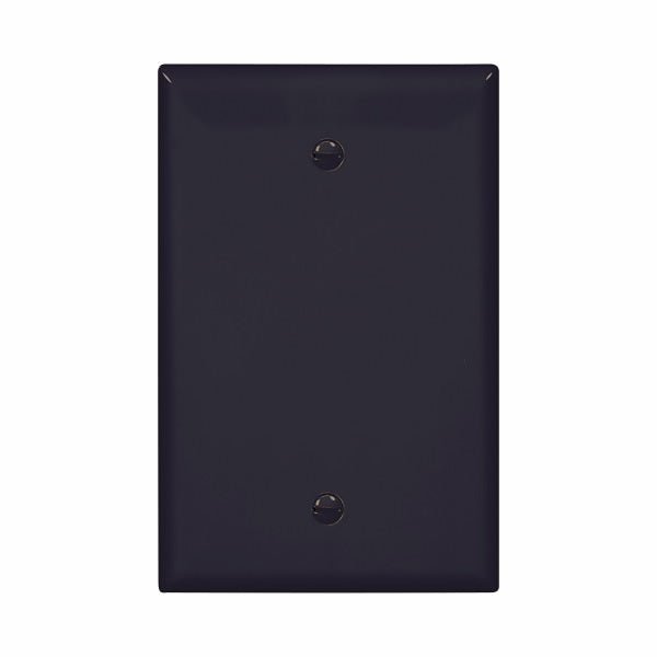 PJ13BKEaton PJ13 Single Gang Duplex Blank Wallplate