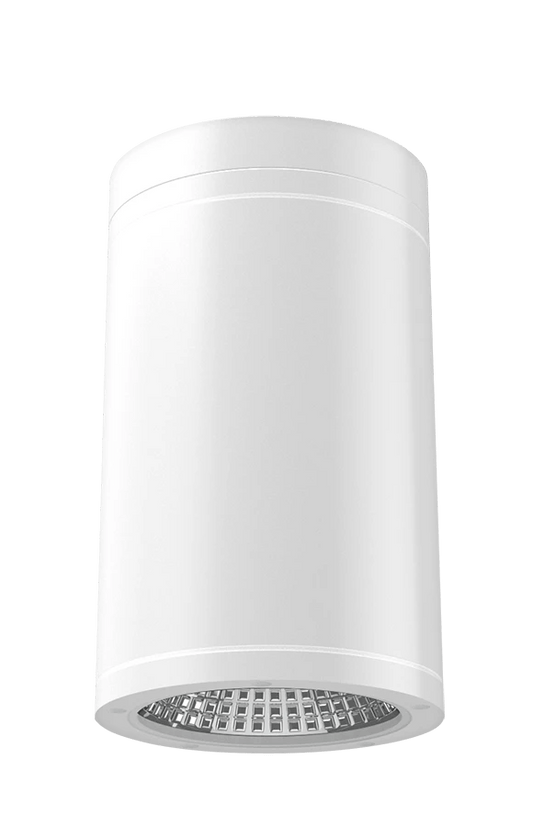 RAB-CD34FA4SP-20-509-WCRAB CD34FA 20W 4" Cylinder Surface/Pendant Mount Selectable CCT