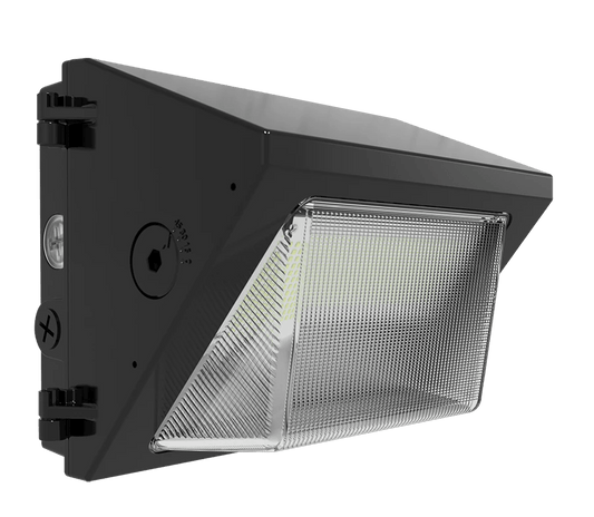 RAB-W22-S-30RAB W22 Small 30W LED Wallpack Adjustable Throw Selectable Wattage/CCT