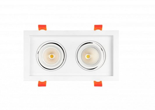 RAY-RAD-2H-CCTRAYHIL RAD2H 24W Dual Head LED Recessed Downlight 38° Selectable CCT