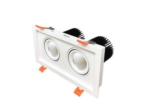 RAY-RAD-2H-CCTRAYHIL RAD2H 24W Dual Head LED Recessed Downlight 38° Selectable CCT