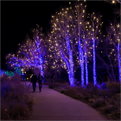 American Lighting Commercial Coaxial Holiday Lighting 2025 Release - COMMUNITY LIGHTING & ELECTRIC SUPPLY