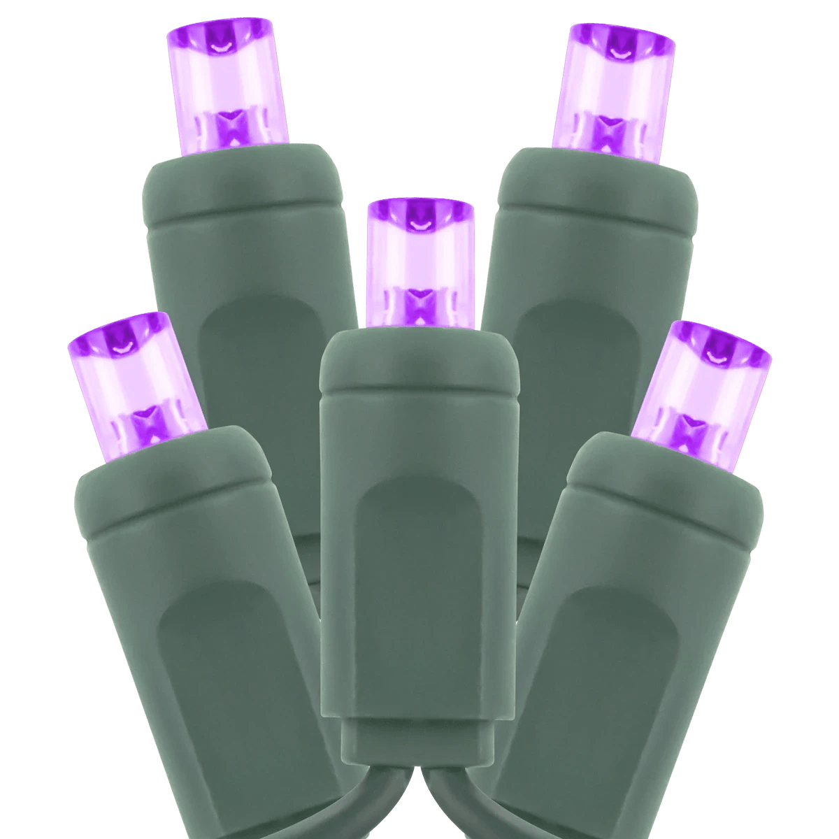 AML-CLS-5MM-50/6-G-PUAmerican Lighting 25FT Commercial Coaxial 5MM Light String 2025 Version