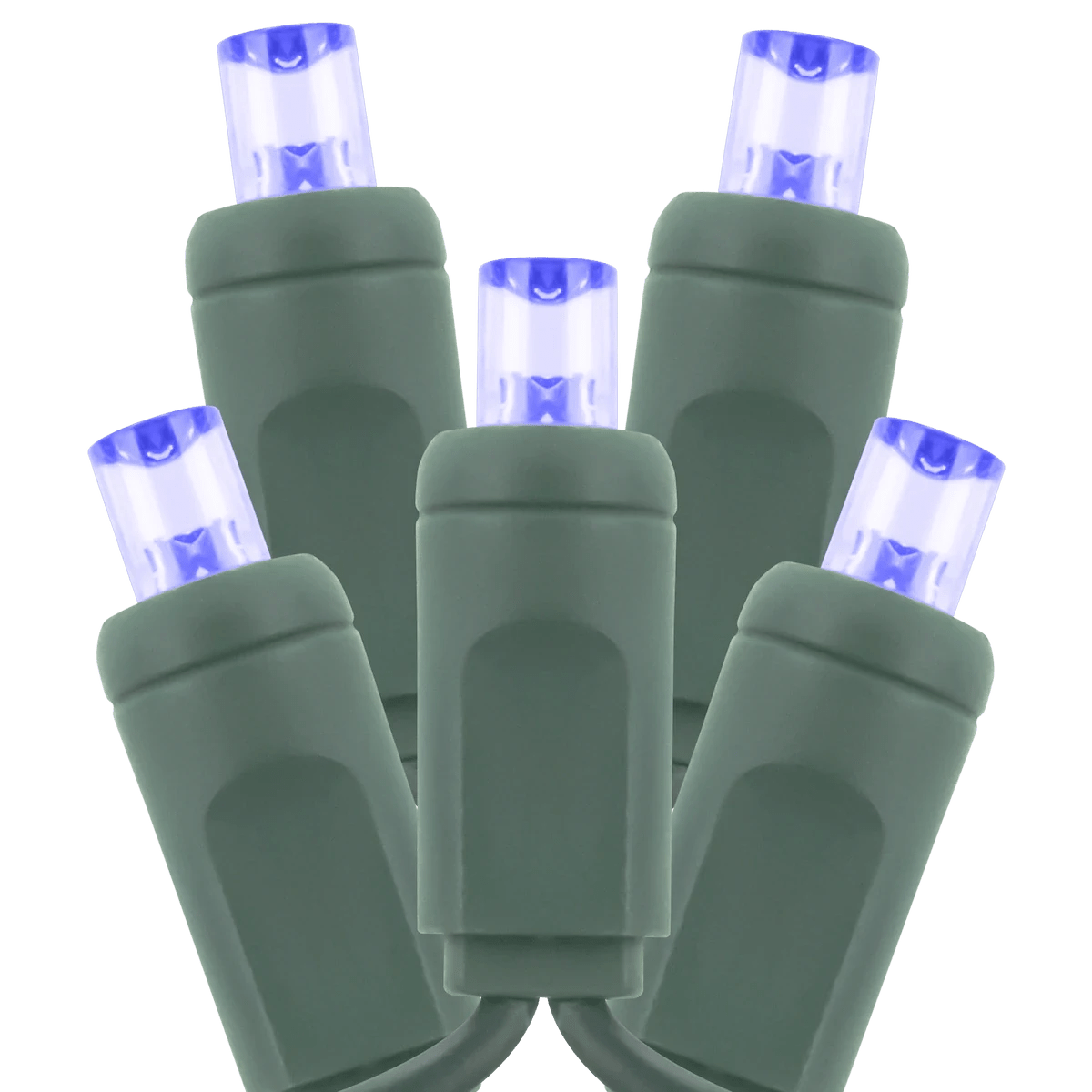 AML-CLS-5MM-50/6-G-BLAmerican Lighting 25FT Commercial Coaxial 5MM Light String 2025 Version