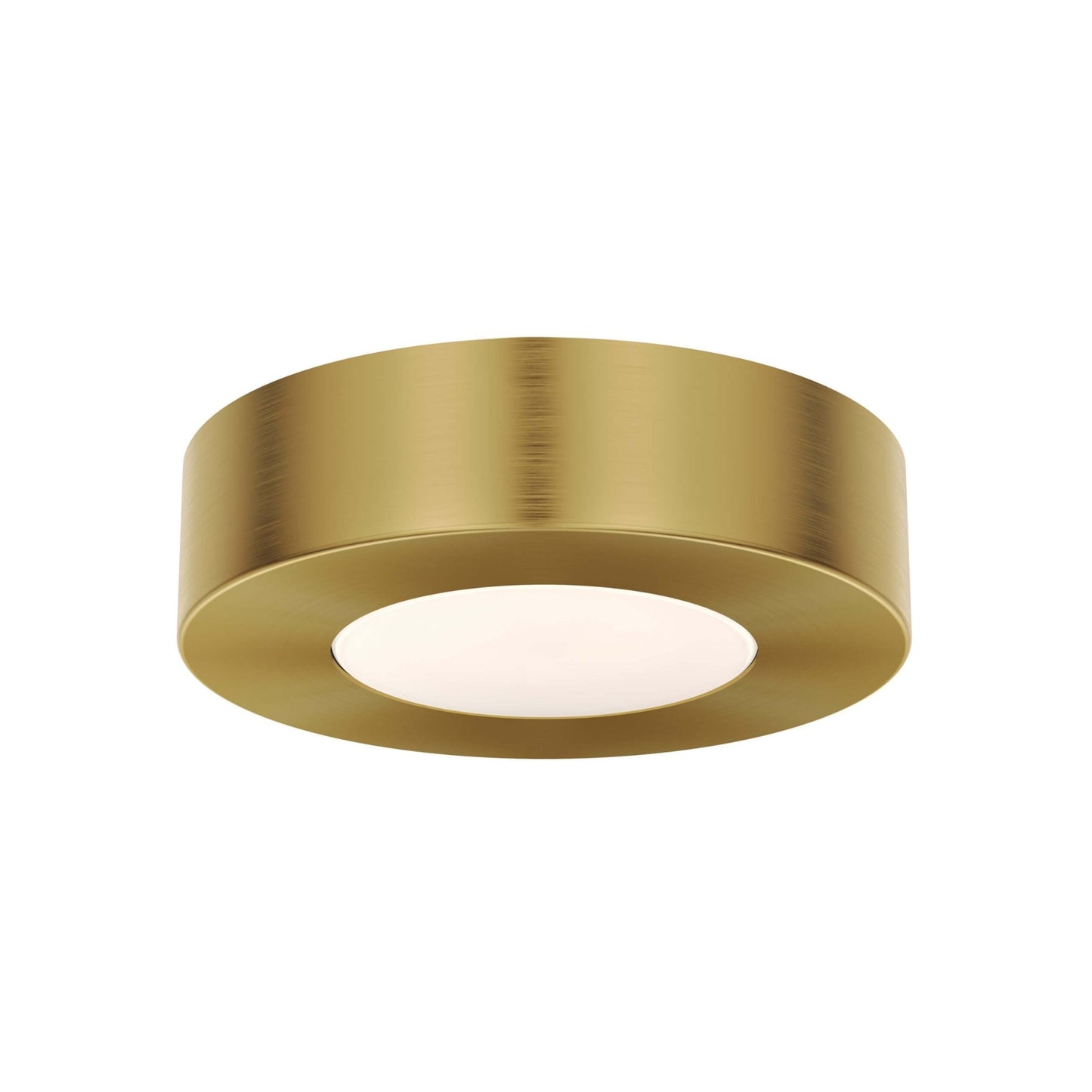 DALS-4024S-CC-GDDals Lighting 4024S - CC 4W 24V LED Surface Mount Puck Light Selectable CCT