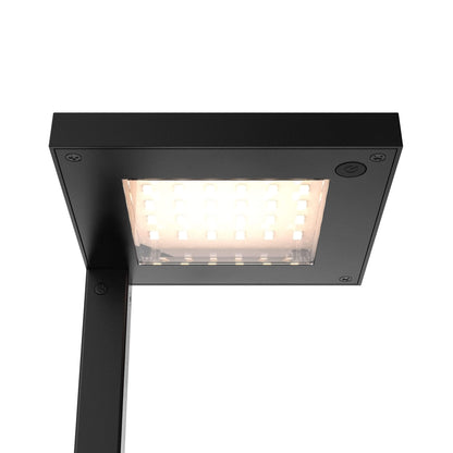 DALS-LSQP-CC-BKDals Lighting LSQP-CC 12" Pathway Light Selectable CCT