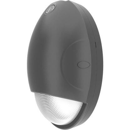 RAB DROP 15W Mini Teardrop Wallpack Selectable CCT