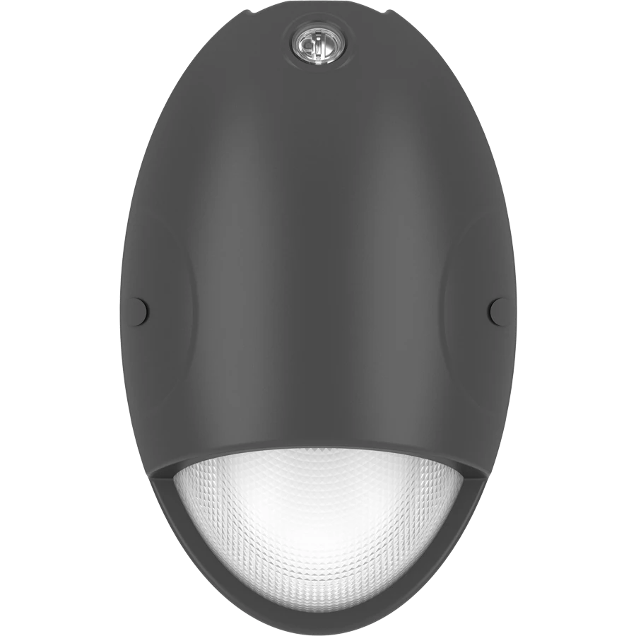 RAB DROP 15W Mini Teardrop Wallpack Selectable CCT