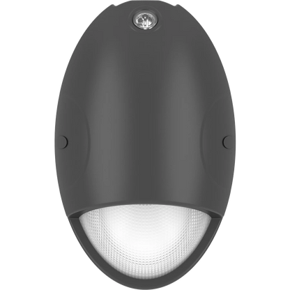 RAB DROP 15W Mini Teardrop Wallpack Selectable CCT