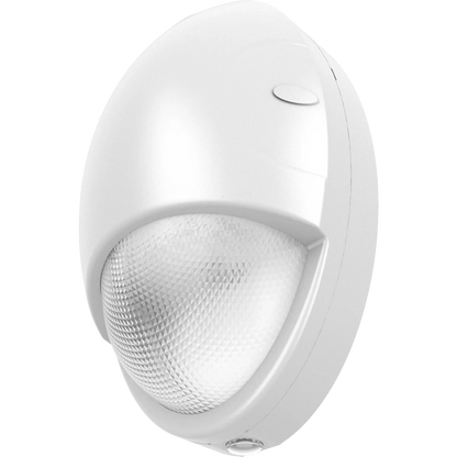 RAB DROP 15W Mini Teardrop Wallpack Selectable CCT