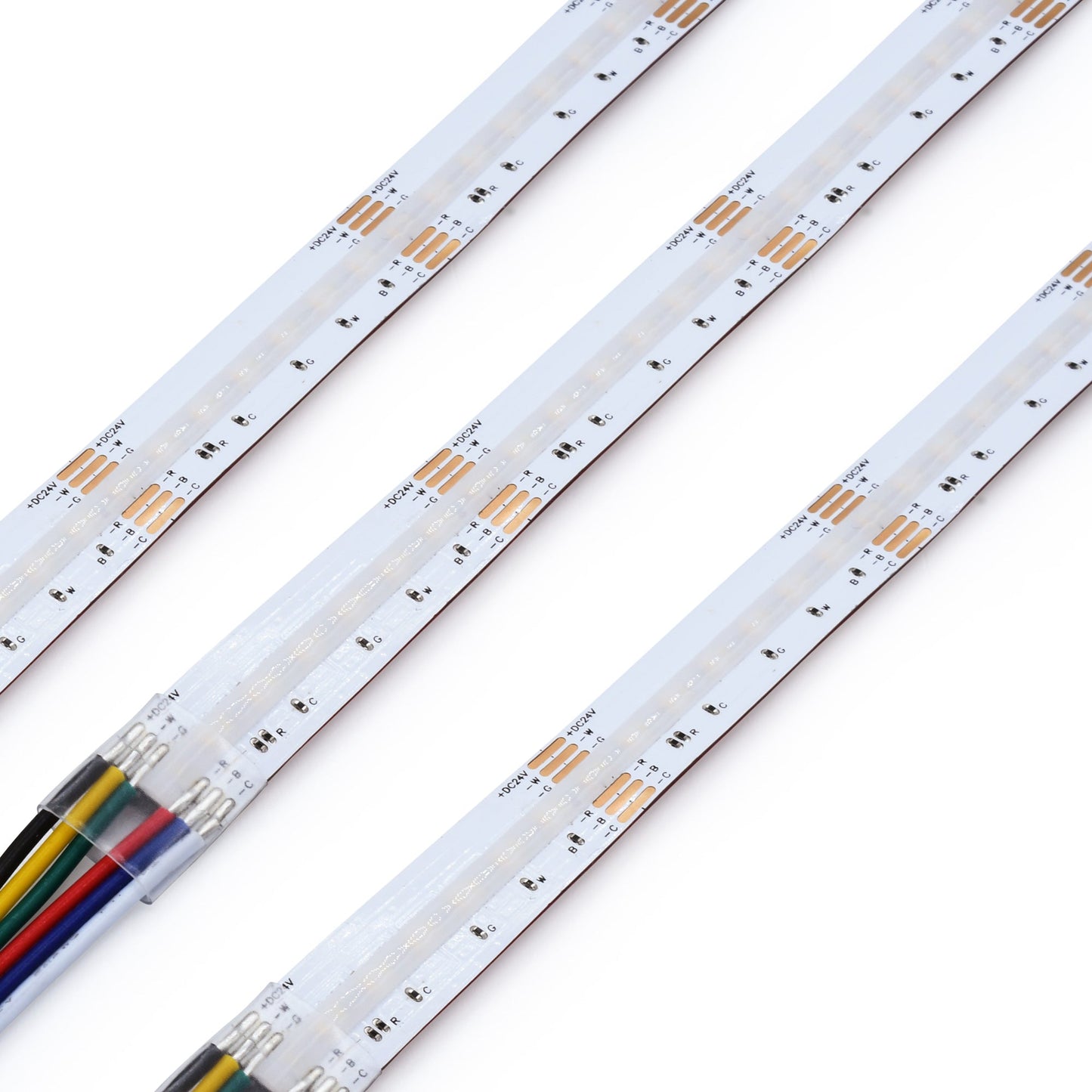 GML - LTR - S - COB - 24V - 5W - RGBTW - 16GM Lighting LTR - S - COB - 24V - RGBTW 5W/FT 16FT LED Tape RGBTW