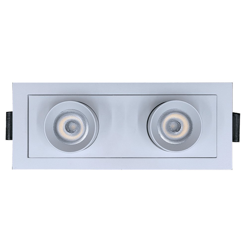 GDL - G21052Goodlite Dipper G21052 2" 6W Dual Head Retractable Downlight Selectable CCT