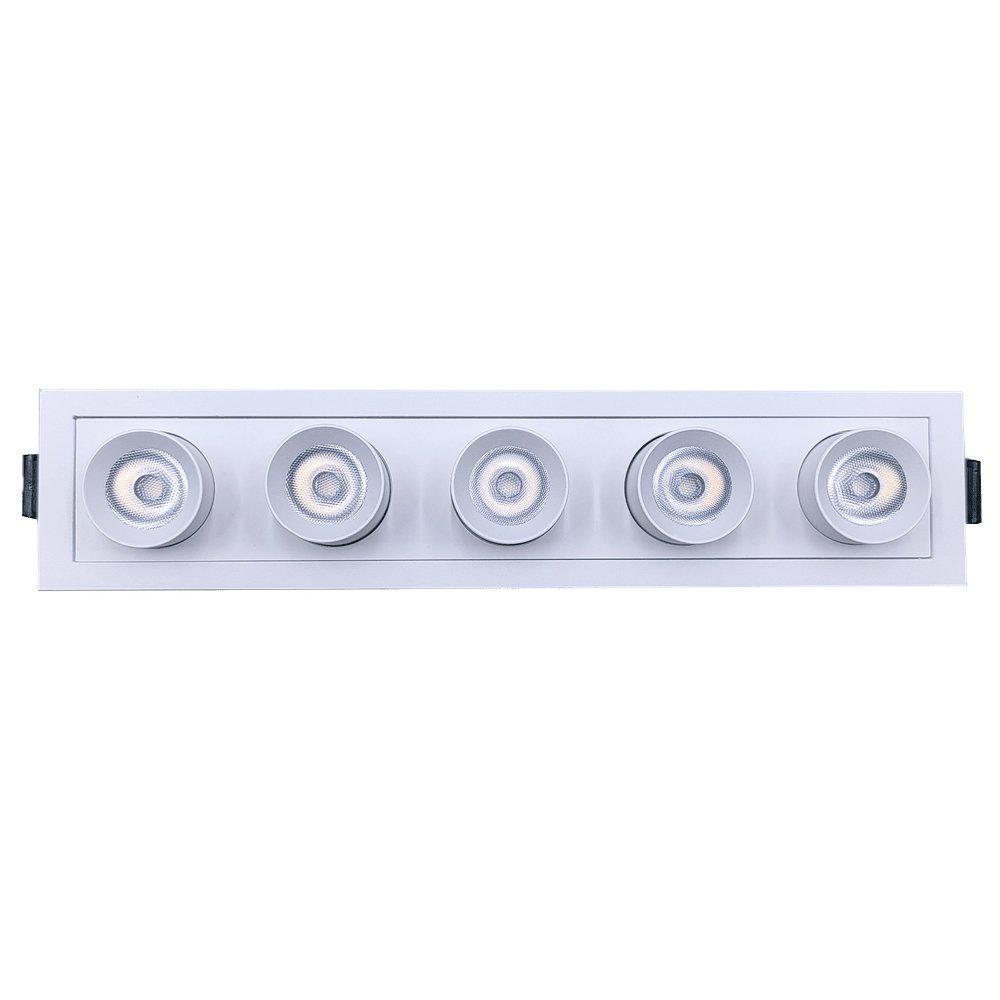 GDL - G21055Goodlite Dipper G21055 2" 15W 5 Head Retractable Downlight Selectable CCT