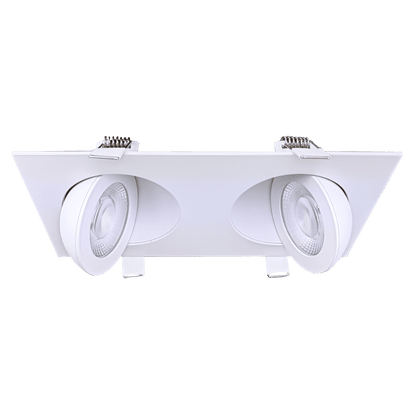 GDL - G01022Goodlite Flarion G - 01022 3.5" 20W LED 2 Head Rotating Gimbal Selectable CCT