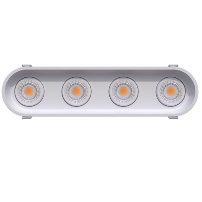 GDL-G23304Goodlite G - 23304 3" 30W 4 Head Oval Trim Gimbal Selectable CCT