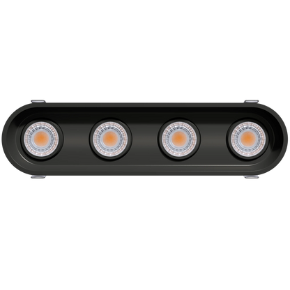 GDL-G23314Goodlite G - 23314 3" 30W 4 Head Oval Trim Gimbal Selectable CCT