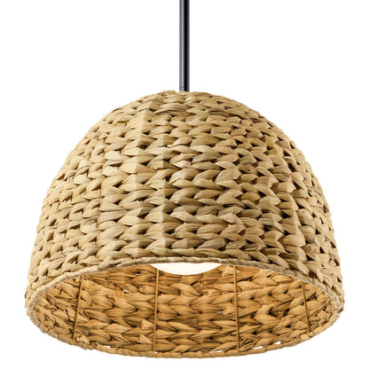 KICHLER-44399BKKICHLER Raffiana 14" 1-Light Pendant with Frosted Glass