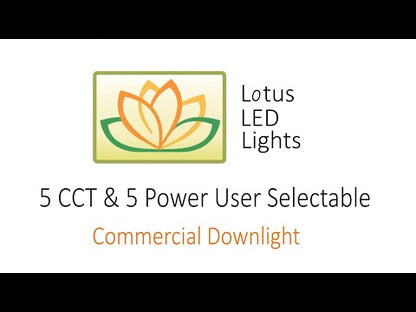 Lotus DL254-6-30W-M-A5C5-HO 6" 30W Round Commercial Downlight Selectable CCT+Wattage