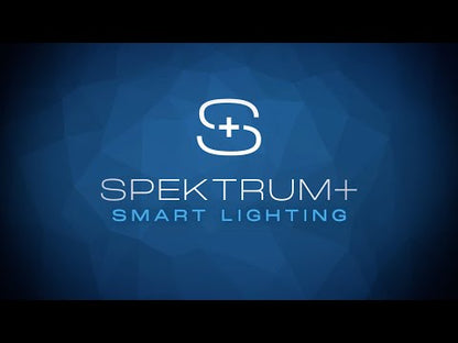 American Lighting SPKPL-CTRL-5 Spektrum+ 5 Inch Touch Screen Wall Mount Control Panel