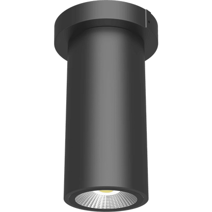RAB-CD34-3SPZRAB CD34 - 3SP 10W 3" Cylinder Surface/Pendant Mount Selectable Wattage + CCT