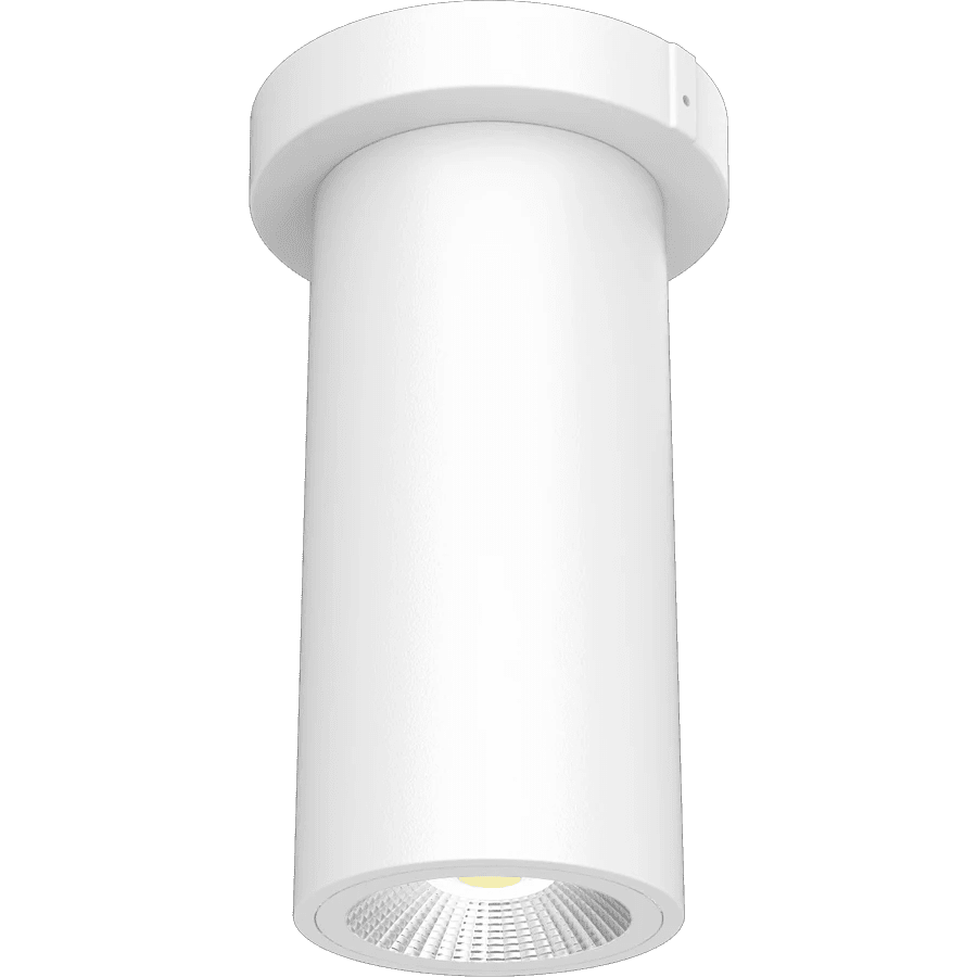 RAB-CD34-3SPWRAB CD34 - 3SP 10W 3" Cylinder Surface/Pendant Mount Selectable Wattage + CCT