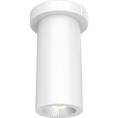 RAB-CD34-3SPWRAB CD34 - 3SP 10W 3" Cylinder Surface/Pendant Mount Selectable Wattage + CCT