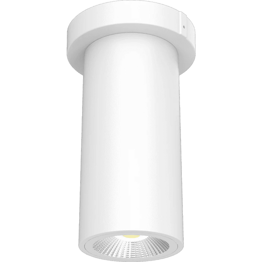 RAB-CD34-3SPWRAB CD34 - 3SP 10W 3" Cylinder Surface/Pendant Mount Selectable Wattage + CCT