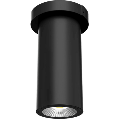 RAB-CD34-3SPKRAB CD34 - 3SP 10W 3" Cylinder Surface/Pendant Mount Selectable Wattage + CCT