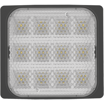 RAB-EREMOTE-1BRAB EREMOTE Indoor LED Remote Emergency Heads