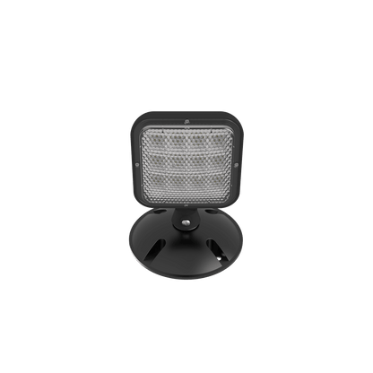 RAB-EREMOTEOUT-WRAB EREMOTEOUT Wet Location LED Remote Emergency Heads