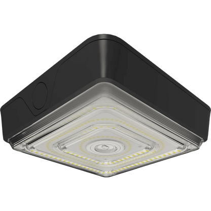 RAB-VAN40RAB VAN40 40W Field - Adjustable Canopy Light Selectable CCT + Beam Angle