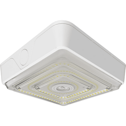 RAB-VAN40WRAB VAN40 40W Field - Adjustable Canopy Light Selectable CCT + Beam Angle