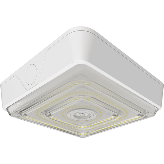RAB-VAN40WRAB VAN40 40W Field - Adjustable Canopy Light Selectable CCT + Beam Angle