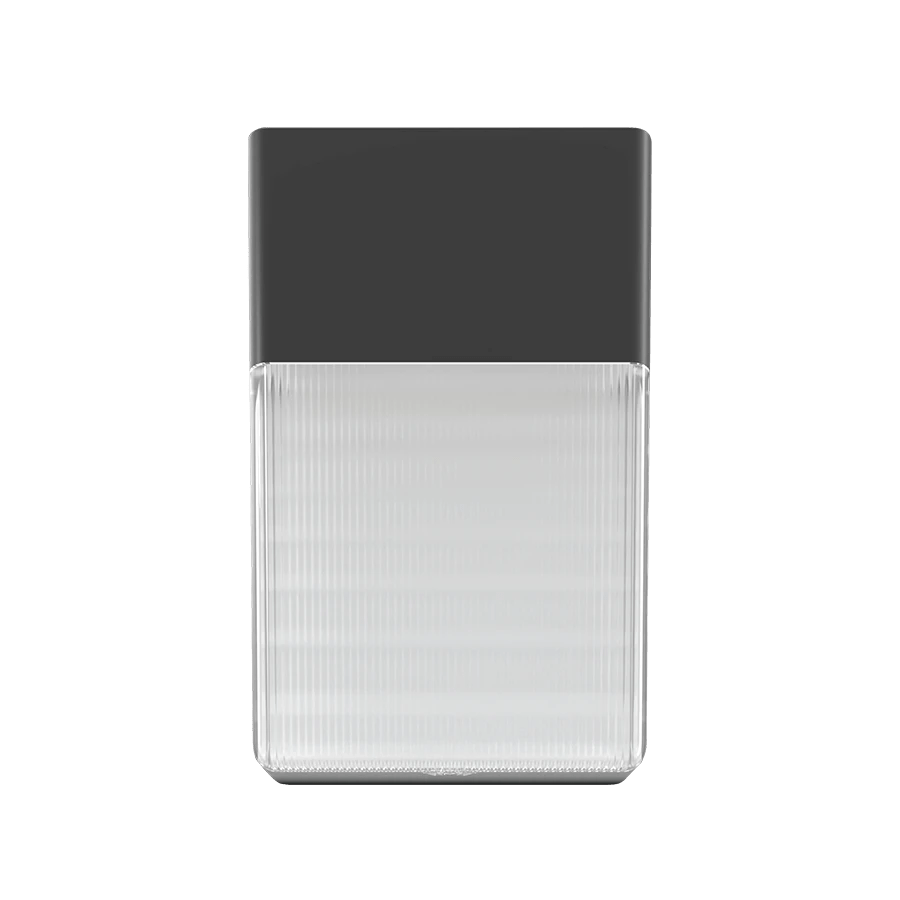 RAB - WPTWRAB WPT 40W Tall Wallpack Selectable Wattage + CCT + Photocell