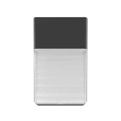 RAB - WPTWRAB WPT 40W Tall Wallpack Selectable Wattage + CCT + Photocell