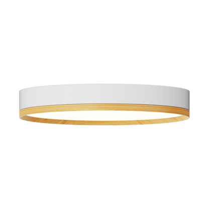 LBU - INV - 12 - CCT - UNV - WT - WD - FRayhil INOVA 12" 18W Surface Mount Selectable CCT