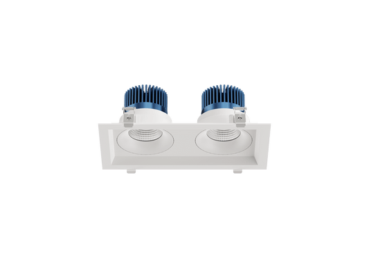 LBU-VOR35-2H-20-CCTRayhil VOR35-2H Vortex 3.5" 2-Head Recessed LED Downlight Selectable CCT
