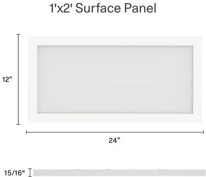 RAB-SMPFA1X2RT22UNVTWRAB 22W LED Surface Mount 1FT X 2FT Selectable CCT