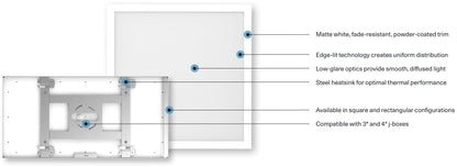 RAB-SMPFA1X2RT22UNVTWRAB 22W LED Surface Mount 1FT X 2FT Selectable CCT