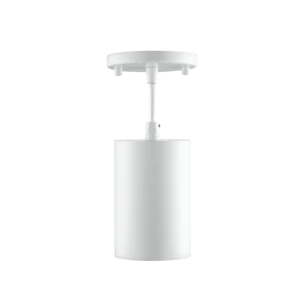 LBU-CYL-PDT-WTRayhil CYL20 Revolve Cylinder Surface/Pendant Mounts