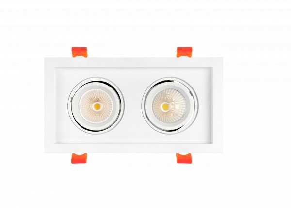 RAY-RAD-2H-CCTRAYHIL RAD2H 24W Dual Head LED Recessed Downlight 38° Selectable CCT